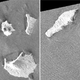 This combination of synthetic aperture radar images shows Indonesia's Anak Krakatau volcano, center in images, before and after the Dec. 22, 2018, eruption. The images were taken on Aug. 20, 2018, left, and on Dec. 24, 2018, right, respectively. The satellite imagery showed a deformation on the volcano's southwest side.